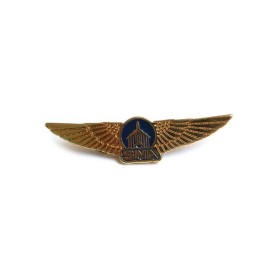 Pin Brevê Injetado Personalizados 